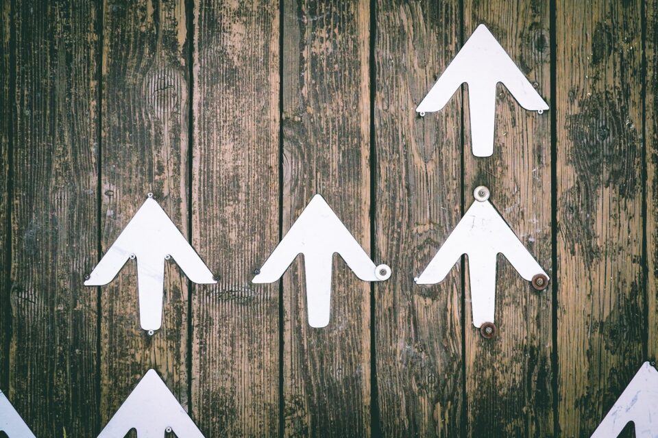 The Power of Diversification: Selling on Both Amazon and Walmart Marketplace.